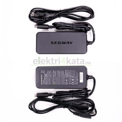 Зарядно за акумулатори Seagaway
